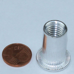Nietmutter Stahl M10 KB3-5,5mm Flachkopf BohrØ13 MFX 23M10CO2