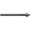 1 x Ankerstange ASTA M20x260 fvz