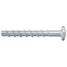 100 x fischer UltraCut FBS II 6 x 40/5 LP großer Panhead
