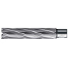 HM-Kernbohrer Weldon // 32,0 x 110 mm